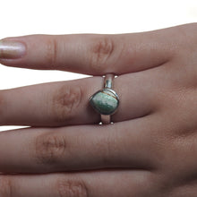 Load image into Gallery viewer, AUSTRALIAN VARISCITE