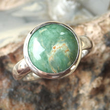 Load image into Gallery viewer, AUSTRALIAN VARISCITE