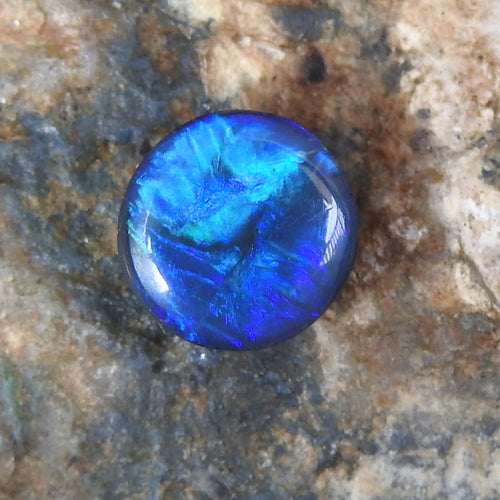 BLACK OPAL