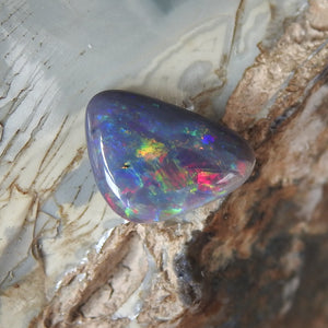 Black Opal