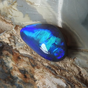 Black Opal