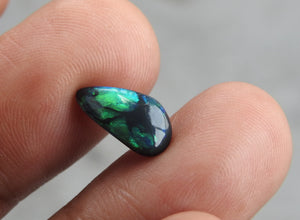 Black Opal